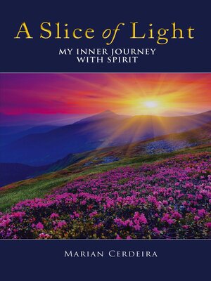 cover image of A Slice of Light